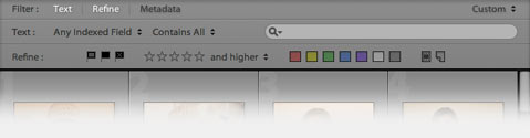 Filter Bar Lightroom 2